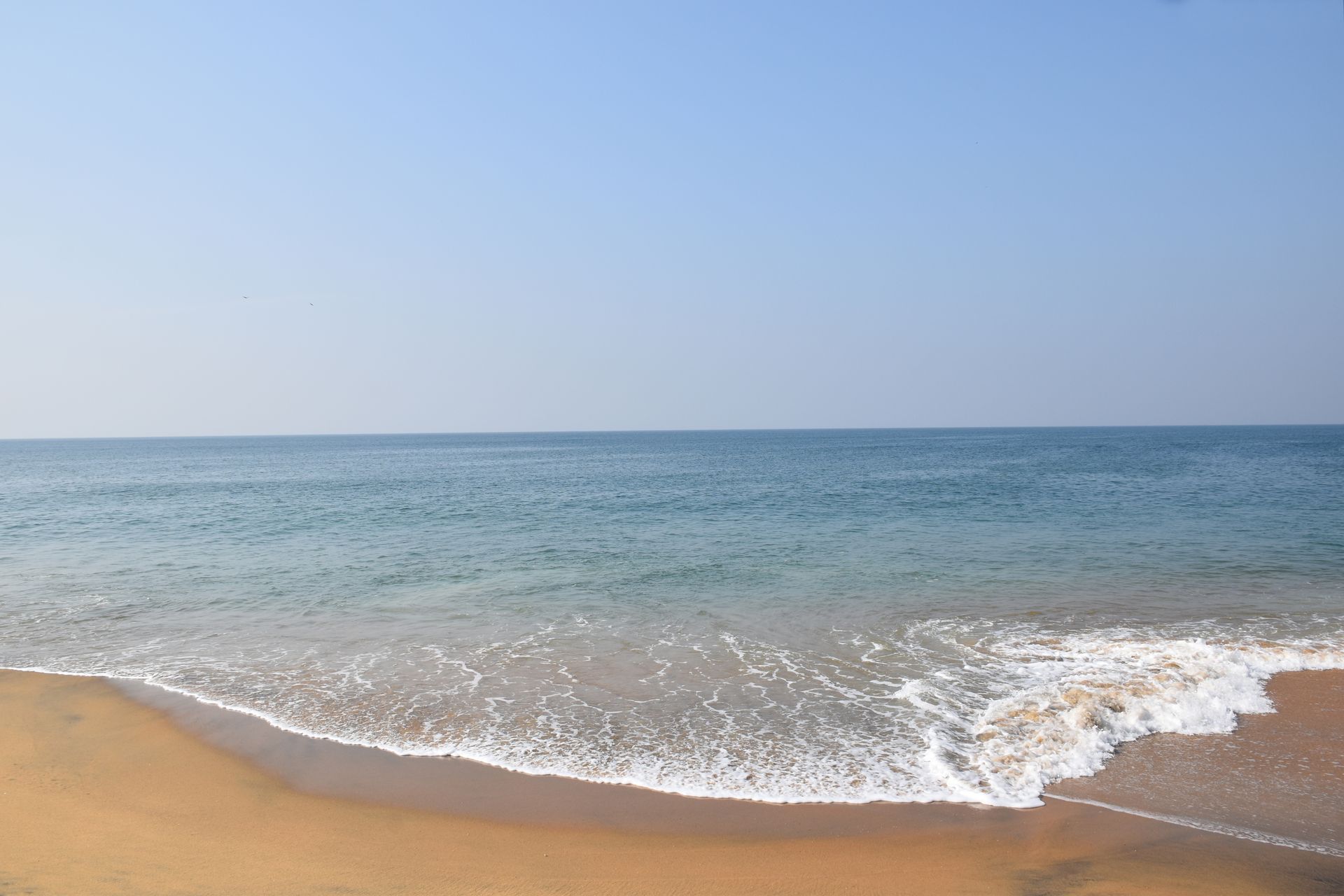 Family Day – Spring Break – Travel Ideas and Beyond!