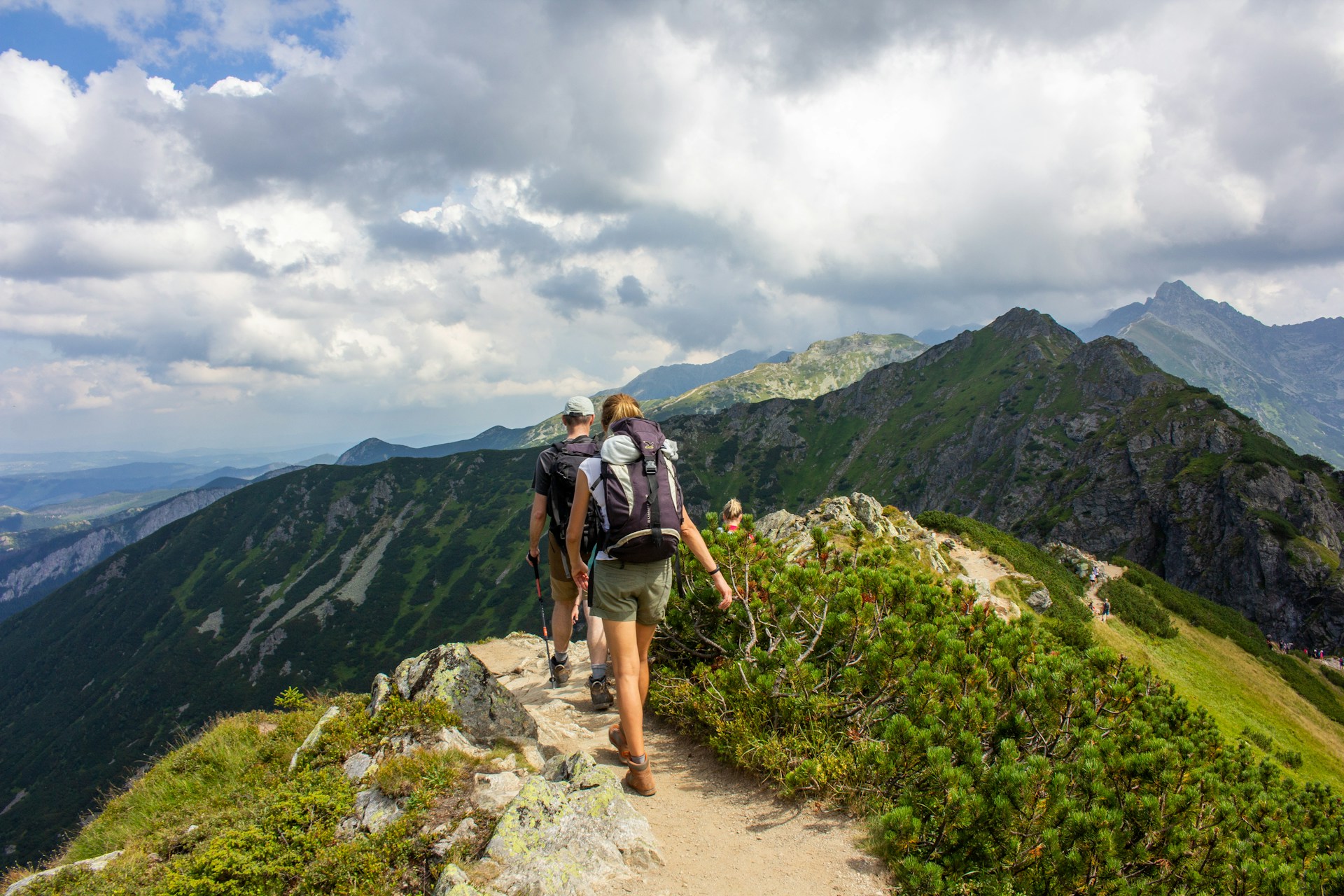 8 Healthy Travel Snacks You Must Take on Your Next Trip