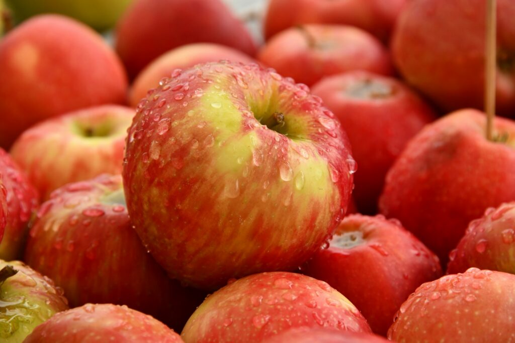 A pile of apples