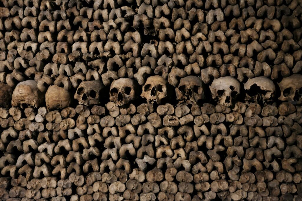 A neatly arranged stack of bones from the French Catacombs