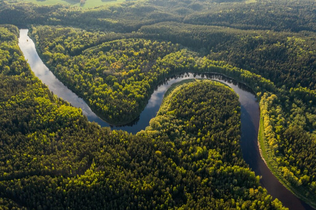A river in the Amazon rainforest