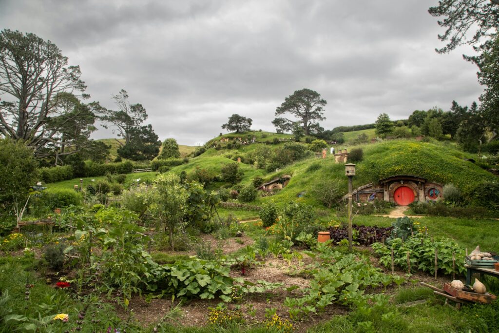 The Lord of the Rings set in New Zealand
