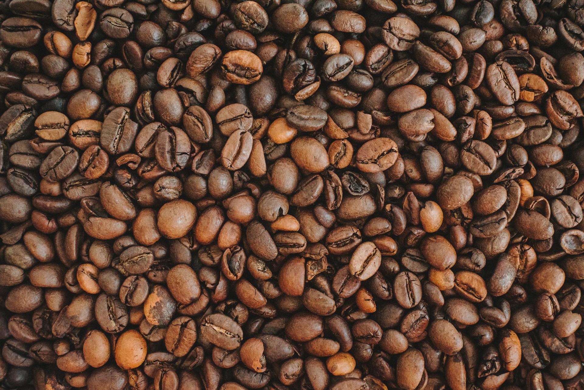 Destinations That are Legendary for Their Coffee Beans
