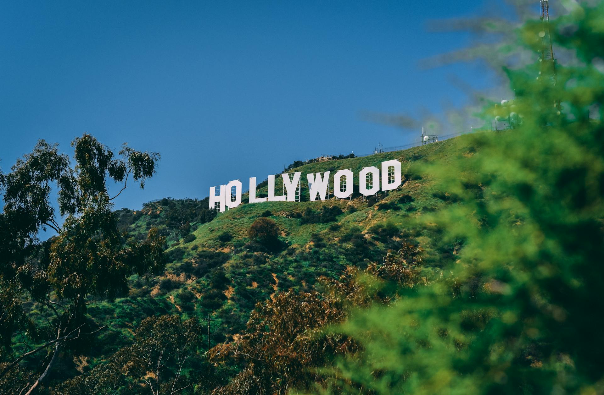 Things to Do Near LAX and In the Airport: Your Guide