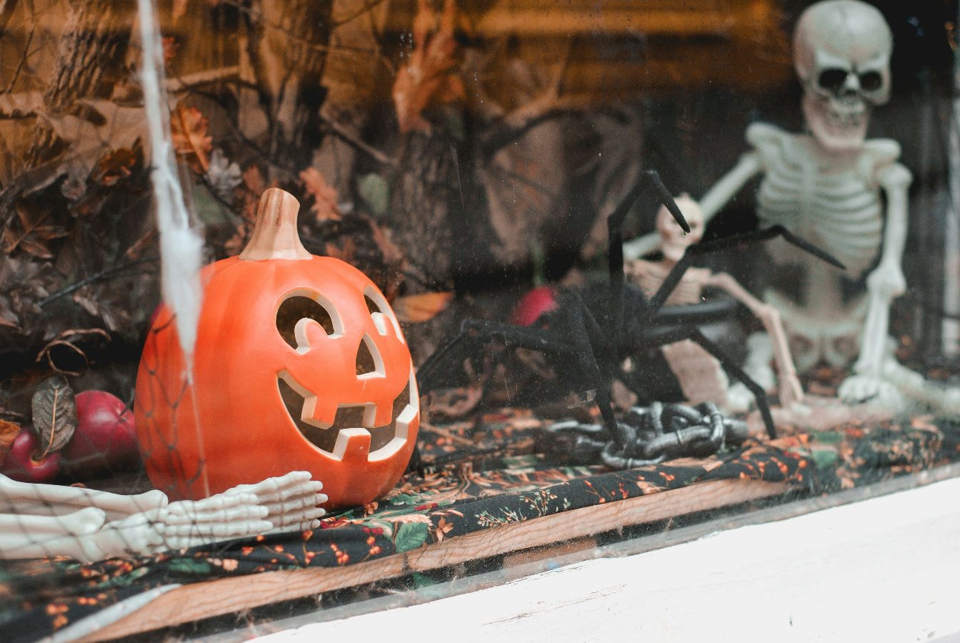 Things To Do in Chicago for Halloween