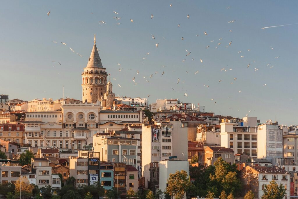 The cityscape of Istanbul and Galata Tower, with a flock of seagulls flying through the air.