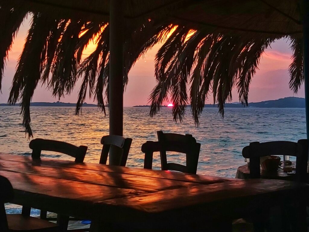 wooden table under a palm tree next to the ocean