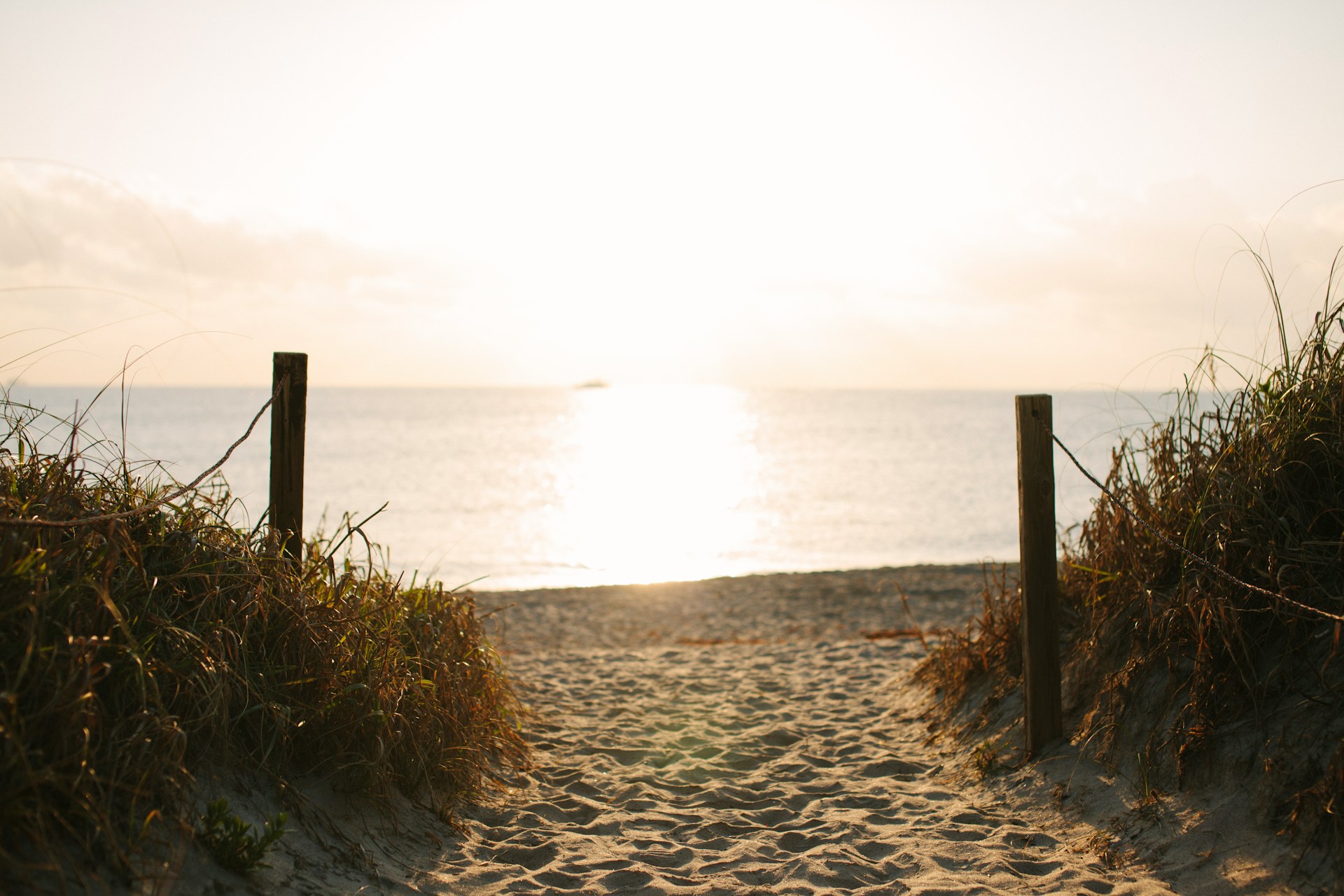 The Best Spring Break Alternatives
