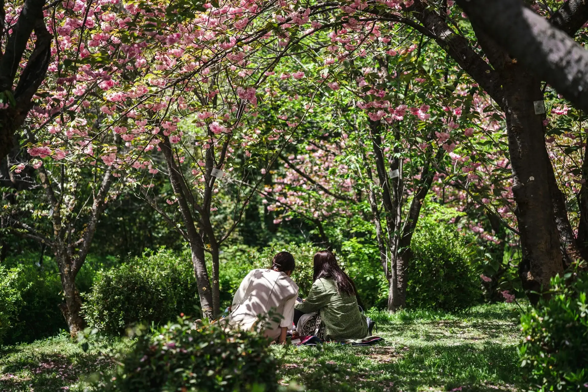 Best Places to Visit in Spring