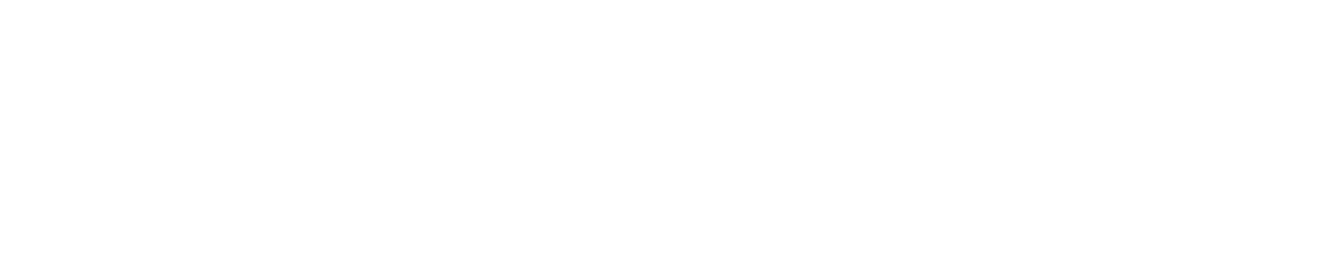 ParkSleepFly logo